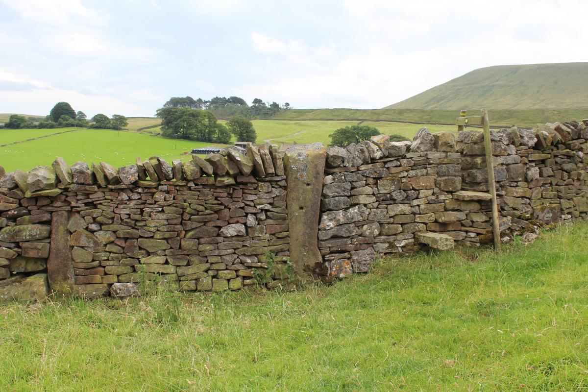 Downham Boundary Wall