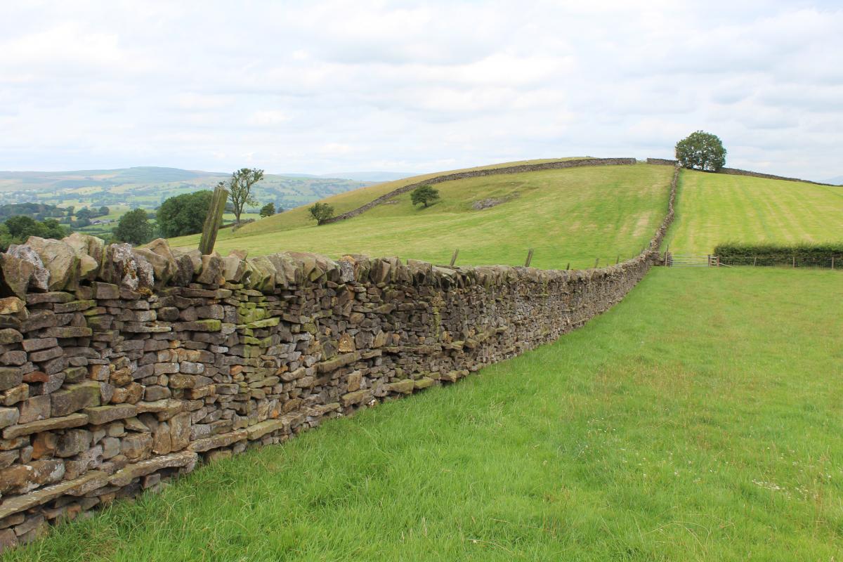 Dry Stone Wall in Downham