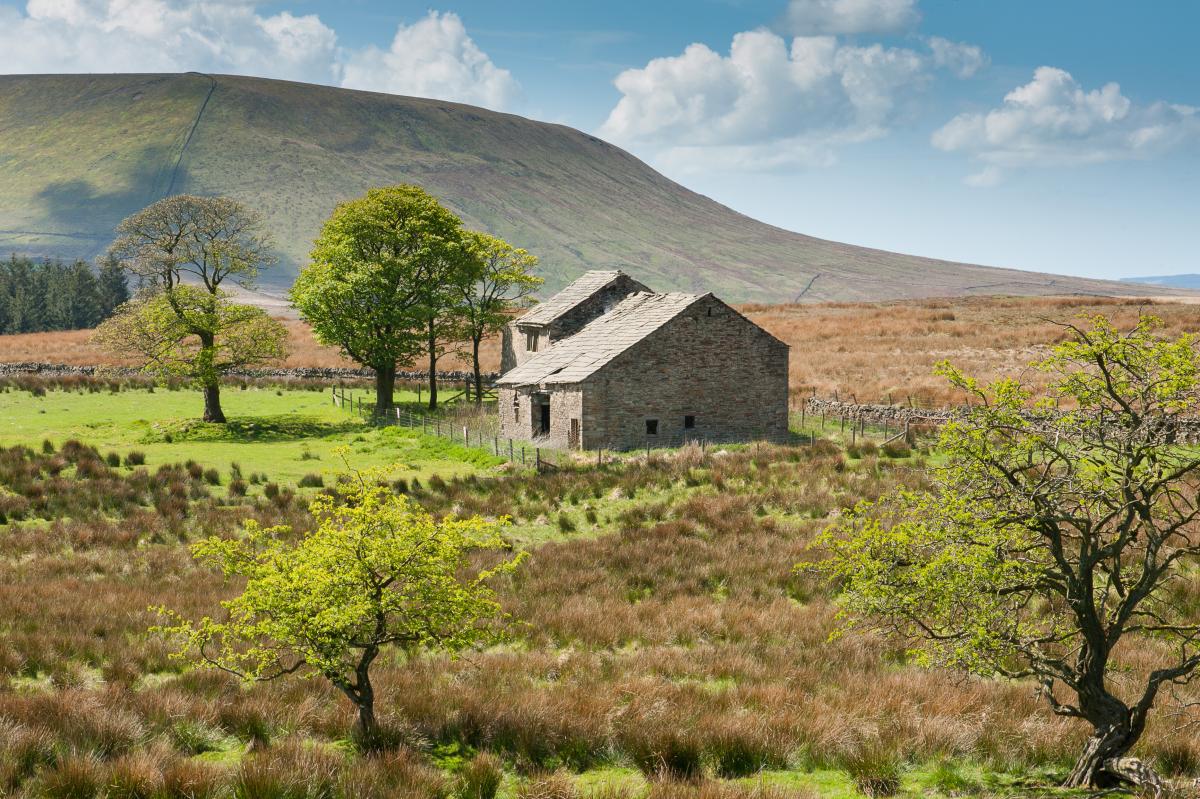 Firber House, Rimington Twiston Moors, Graham Cooper