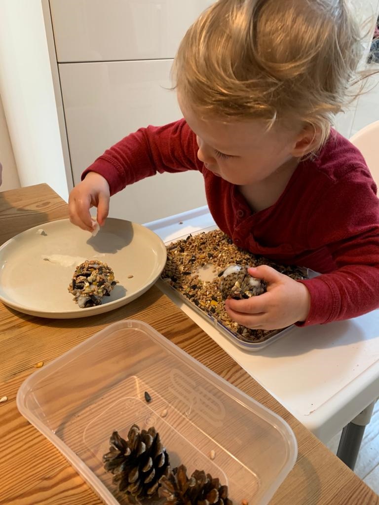 Making a pine cone bird feeder