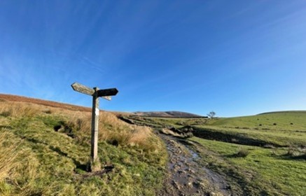 Spring Wood route by Mark Sutcliffe