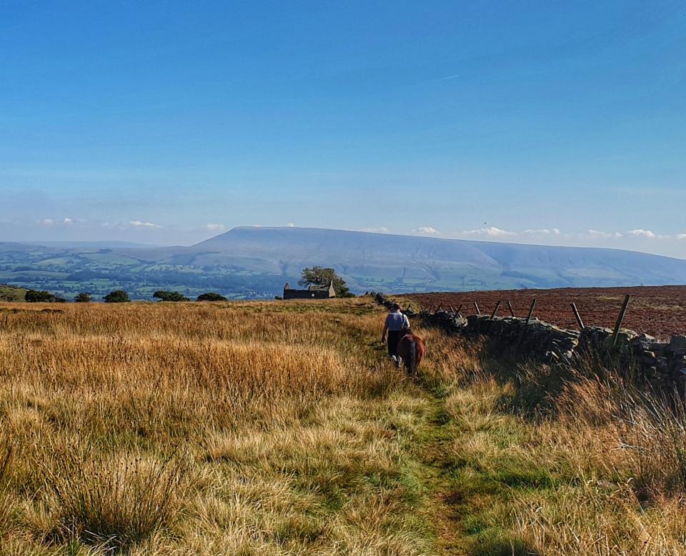 Pendle hill from across the valley