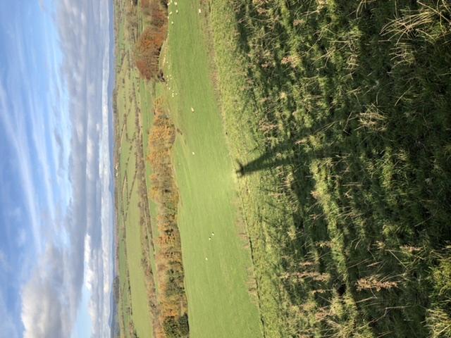 a giant in the autumn light