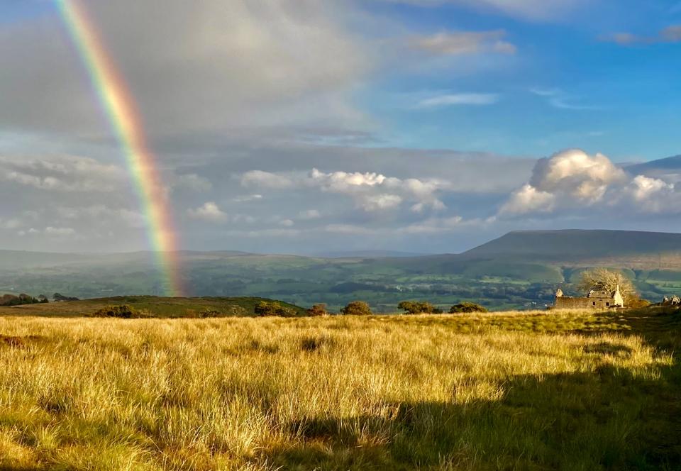 Pendle Hill from Grindleton Fell