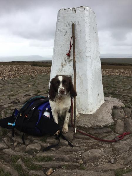 Jacks first of many I hope walks up Pendle.