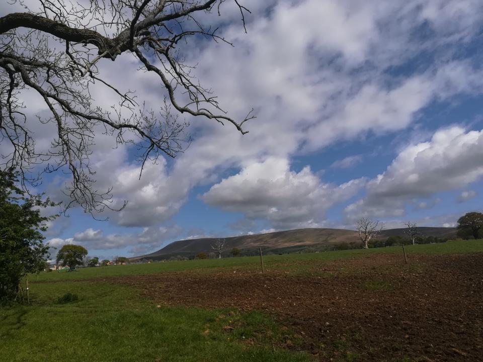 Pendle Hill, April 2020 