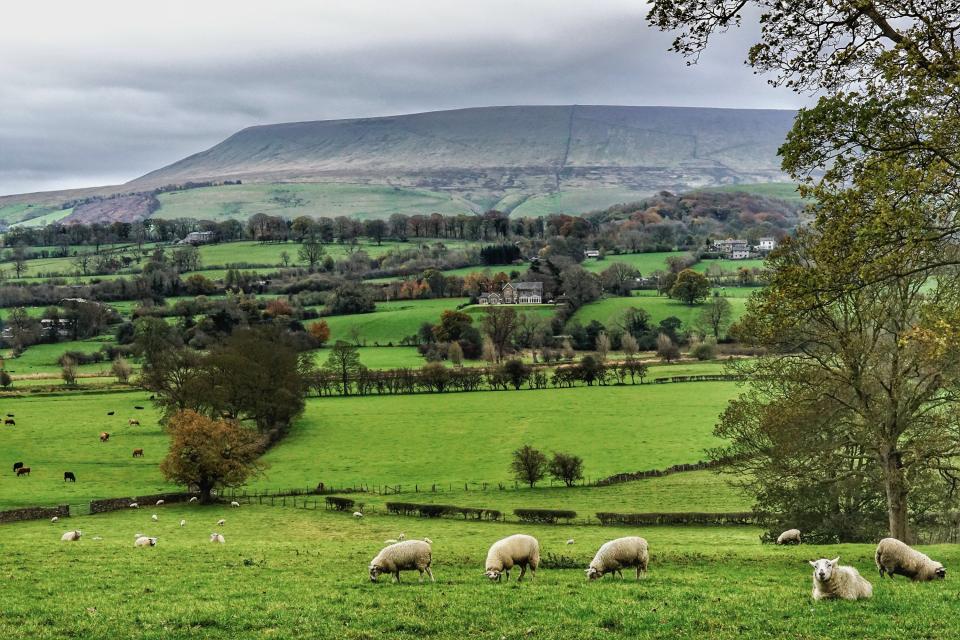 Pendle Hill viewed from Downham