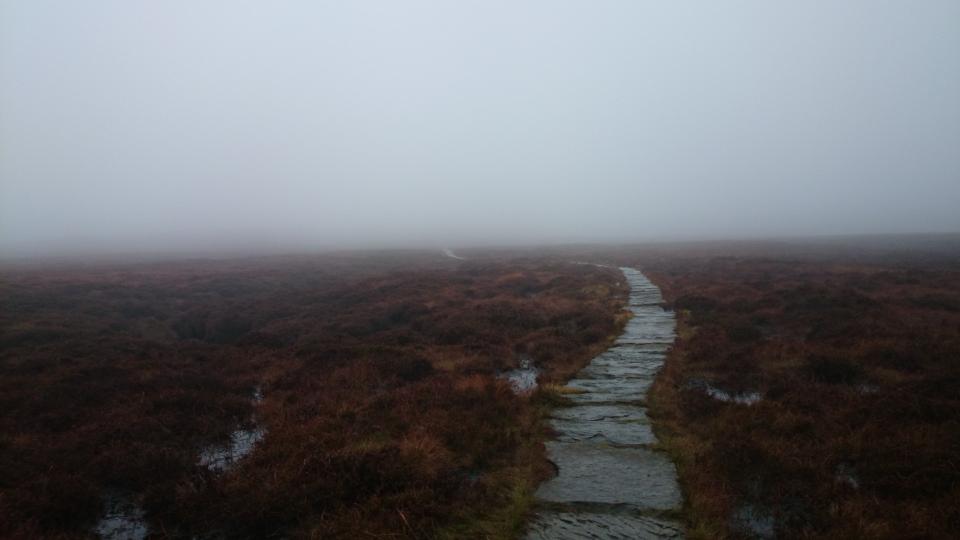 Misty Moor