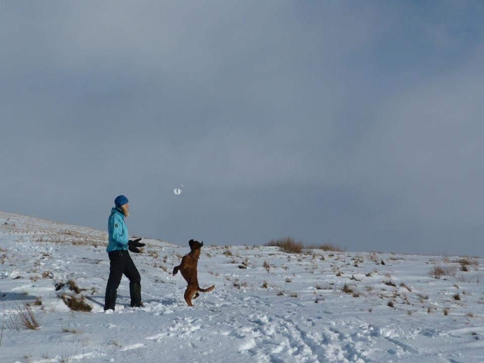 Snow fun with my boxer 