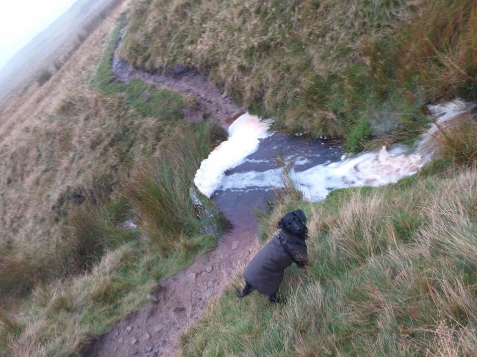 Pendle waterfall!