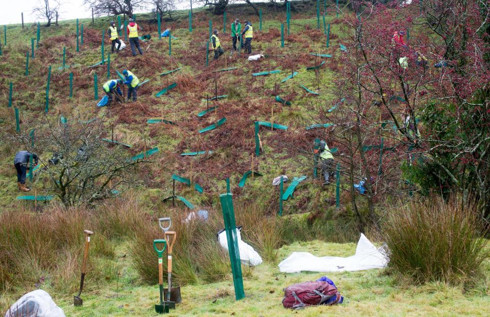 Volunteers tree planting with Ribble River Trust and Pendle Landscape Partnership