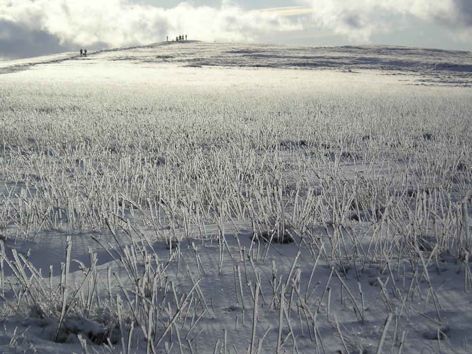 trig point in the distance -taken a few years back 