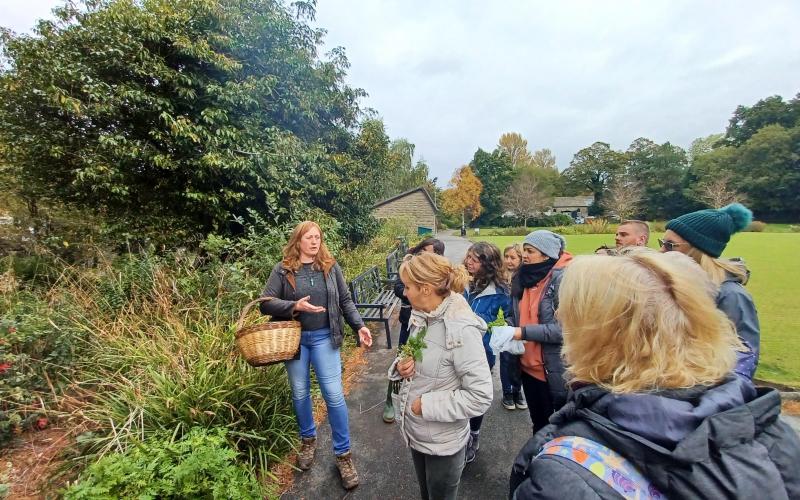 Walking Festival - Foraging with Danielle Kay