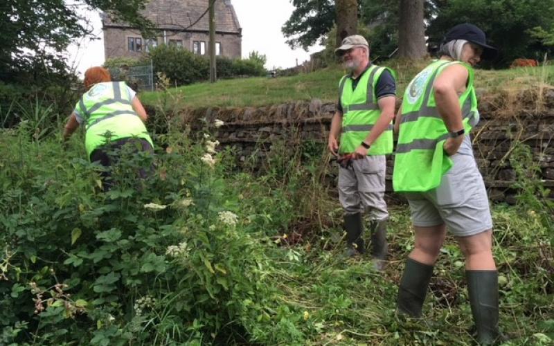 Barley Volunteers