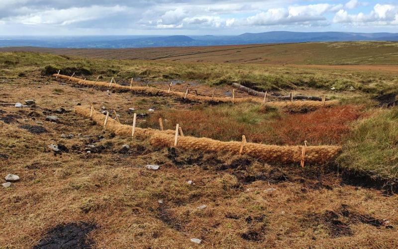 Coir logs and new brash on Pendle Hill