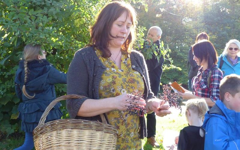 Foodie Foray - herbal medicine walk