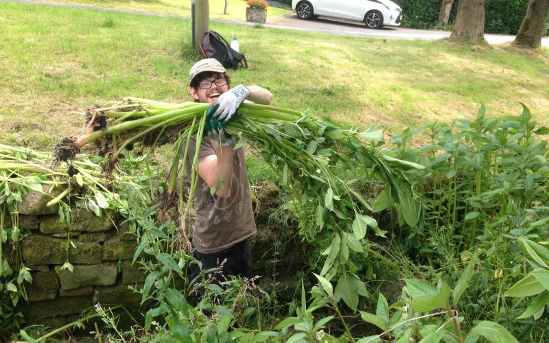 Volunteers Balsam Bashing