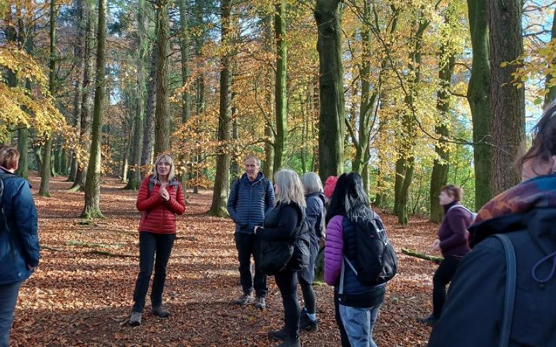 Mind & Body walk with Rewilding Outdoor Therapy