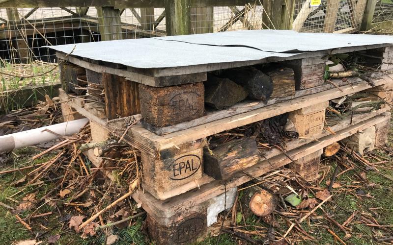 Pendle Community high school WildED workshop 3 - finished bug hotel