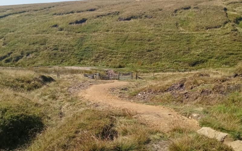 Ogden path and gate