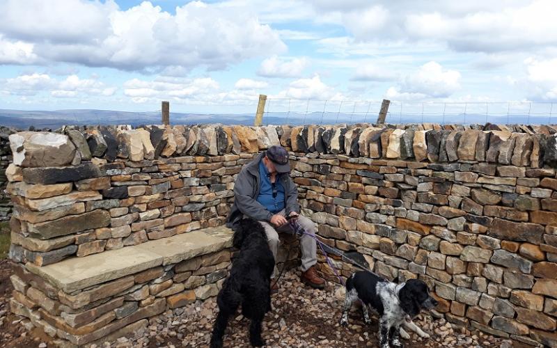 New summit shelter