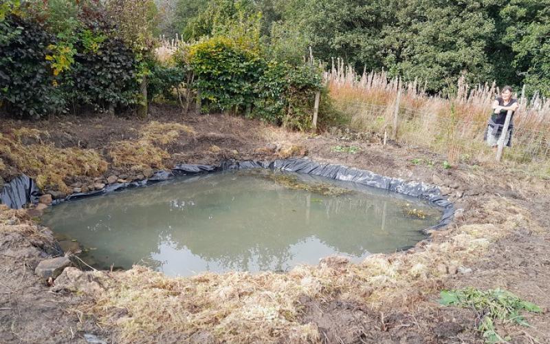 Restored pond at Clarion House