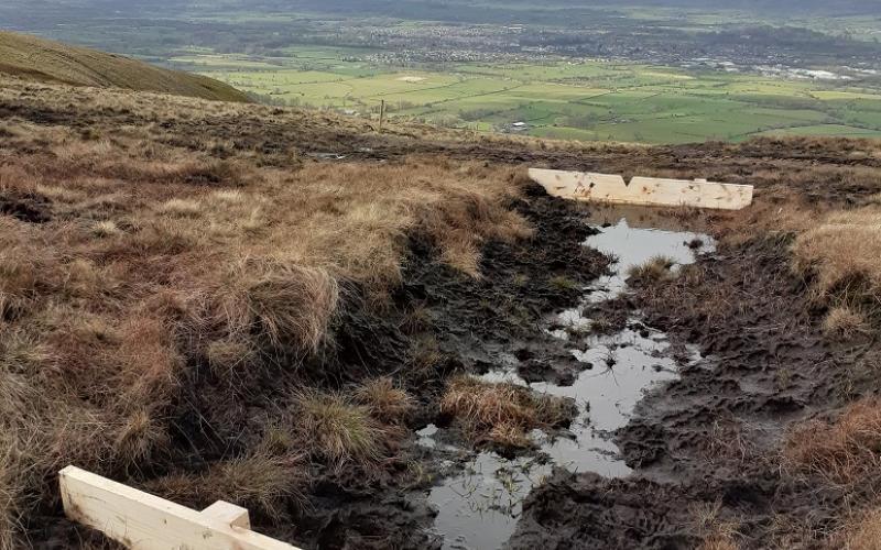 Mearley Peat works