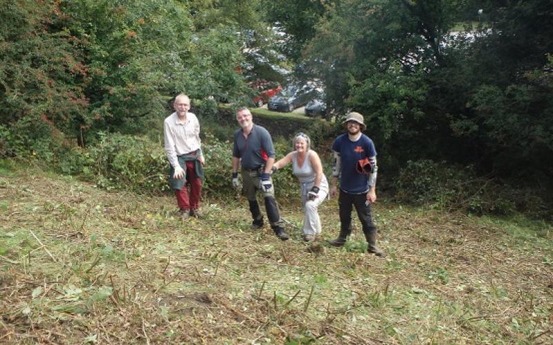 Barley Scrub Clearance