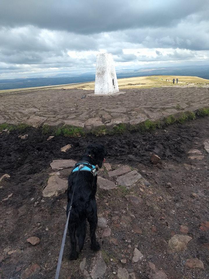 Sammy reaching the summit!