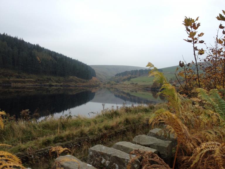 Ogden Reservoir, Barley