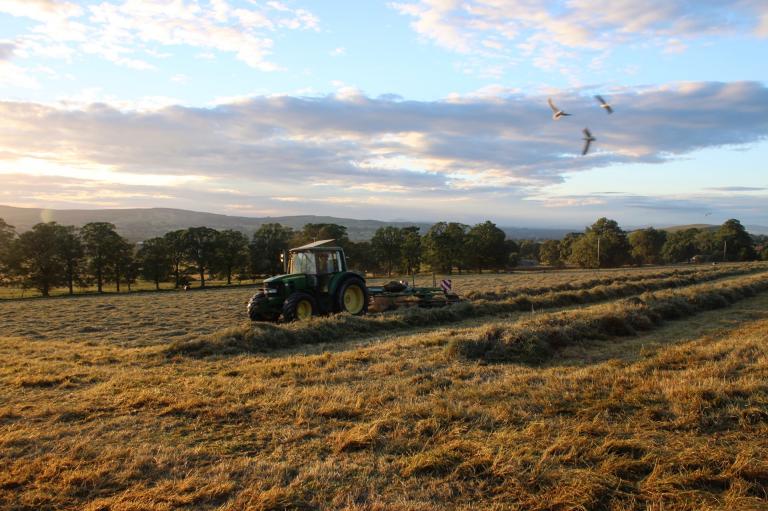 Rowing up the grass at Great Mearley (Sarah Bolton)