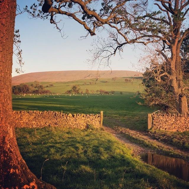 Pendle Sunset 