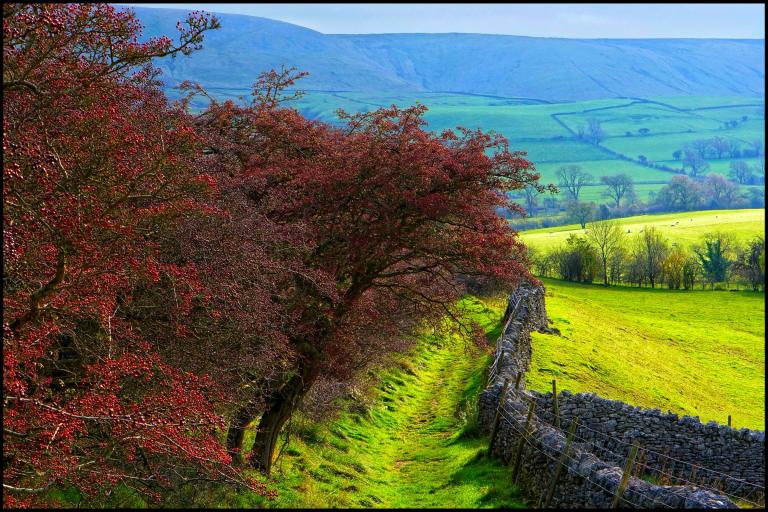 View of Pendle Hill taken from a trail on the Clitheroe side