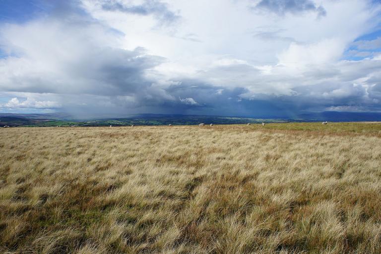 Stormy skies