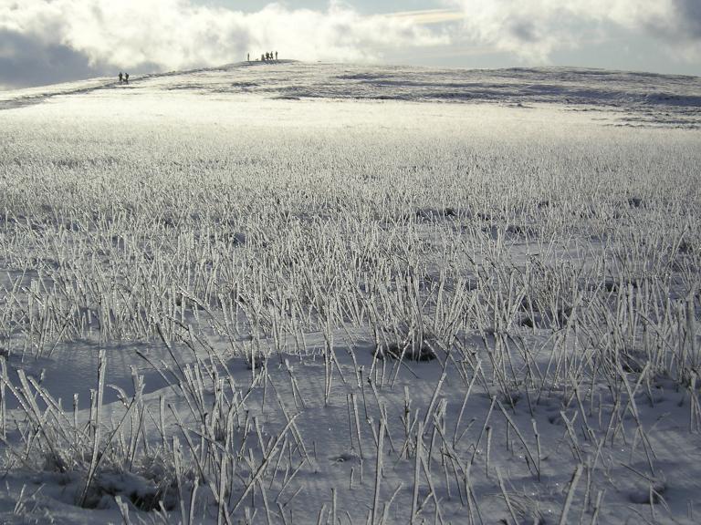 trig point in the distance -taken a few years back 