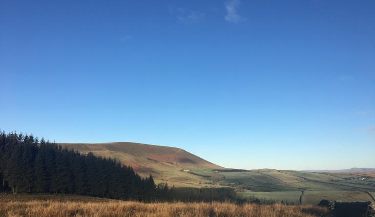 Fell Wood & Pendle Hill