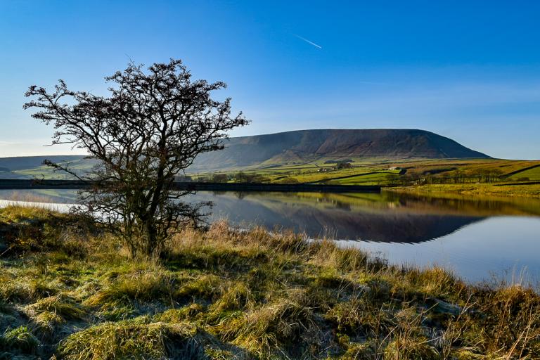 Black Moss and Pendle Hill 