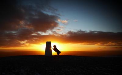 Molly at sunsrise on Pendle Hill 