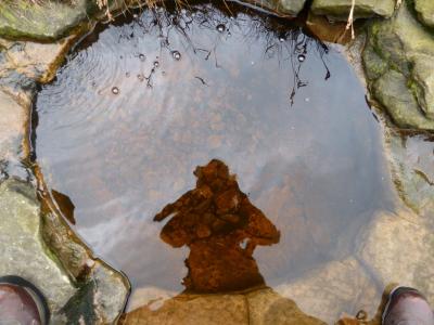 Tigers eye Pendle river bed  