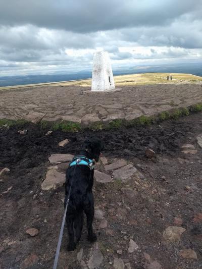 Sammy reaching the summit! 