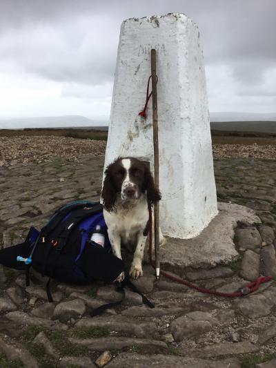 Jacks first of many I hope walks up Pendle. 