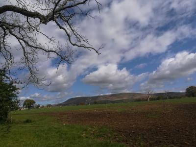 Pendle Hill, April 2020  © Ali Cross