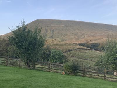 Back garden view © Dianne barlow