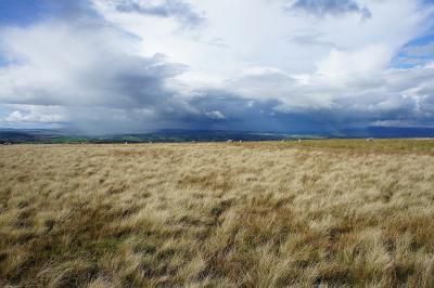 Stormy skies 