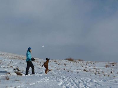 Snow fun with my boxer  