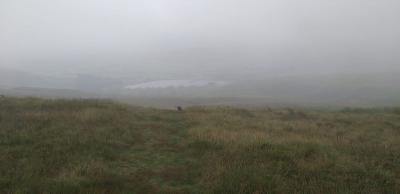 Clowbridge res fog © Angela stancliffe