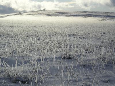 trig point in the distance -taken a few years back  